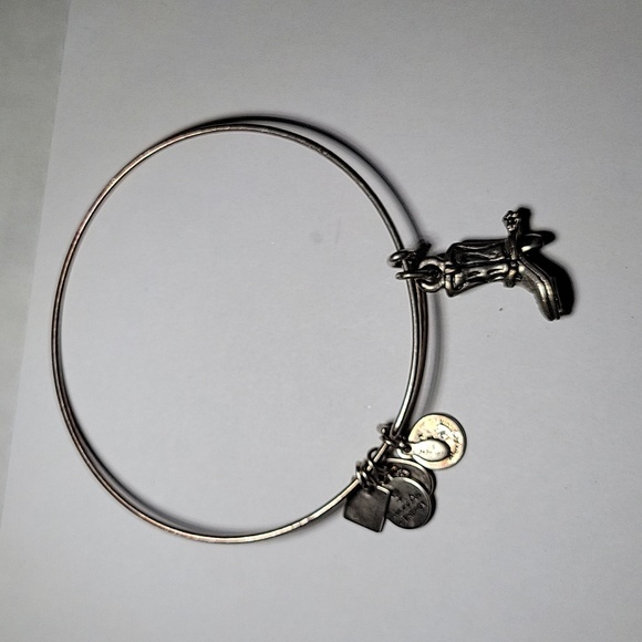 Alex and Ani - Picture 1 of 2
